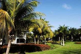 Hotel Riu Merengue Garden 1